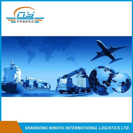 Professional freight agent / Experienced logistics service provider/ container shipment from China to Turkey by sea/air