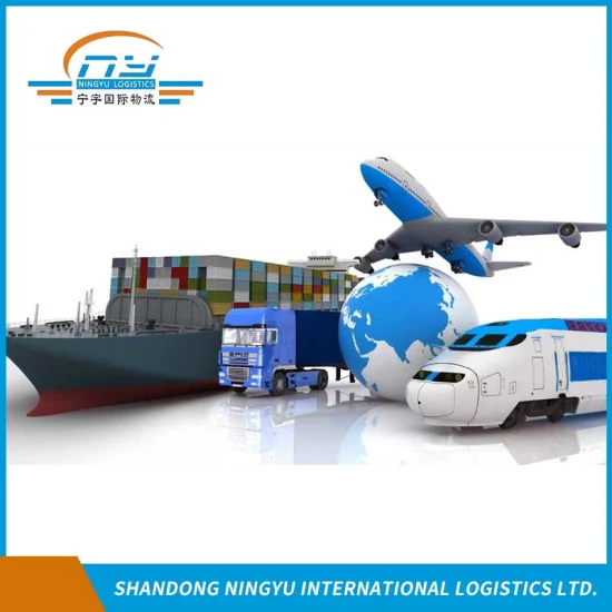 Import and export customs clearance/warehouse service/Truck service in Ningbo